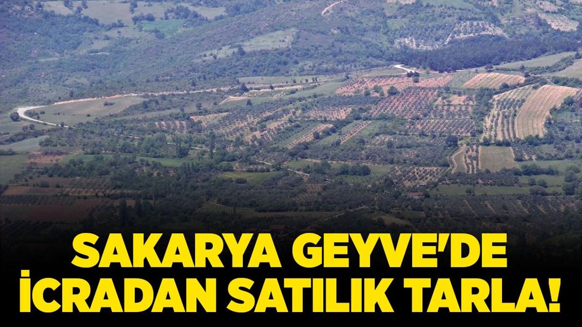 sakarya geyve satlk tarla icradan satlk tarla icra ilanlar fotoraflar resimleri