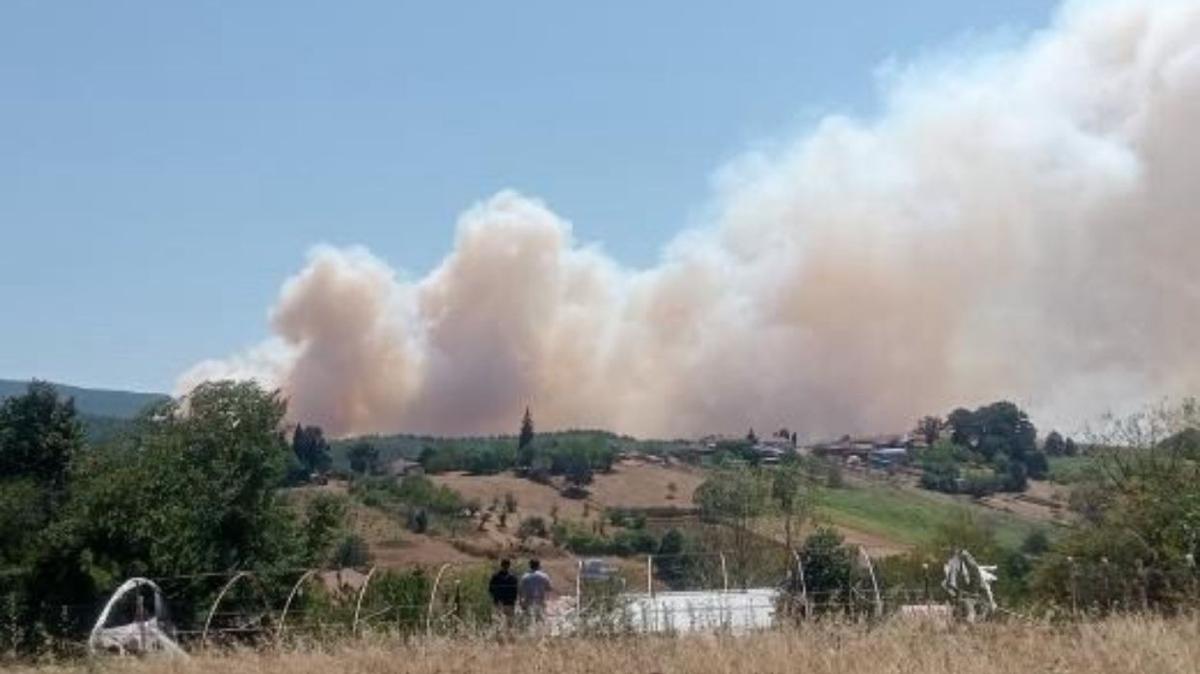 kocaeli karamrsel orman yangn bursa bayndr iznik fotoraflar resimleri