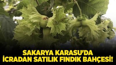 Sakarya Karasu'da icradan satlk fndk bahesi!