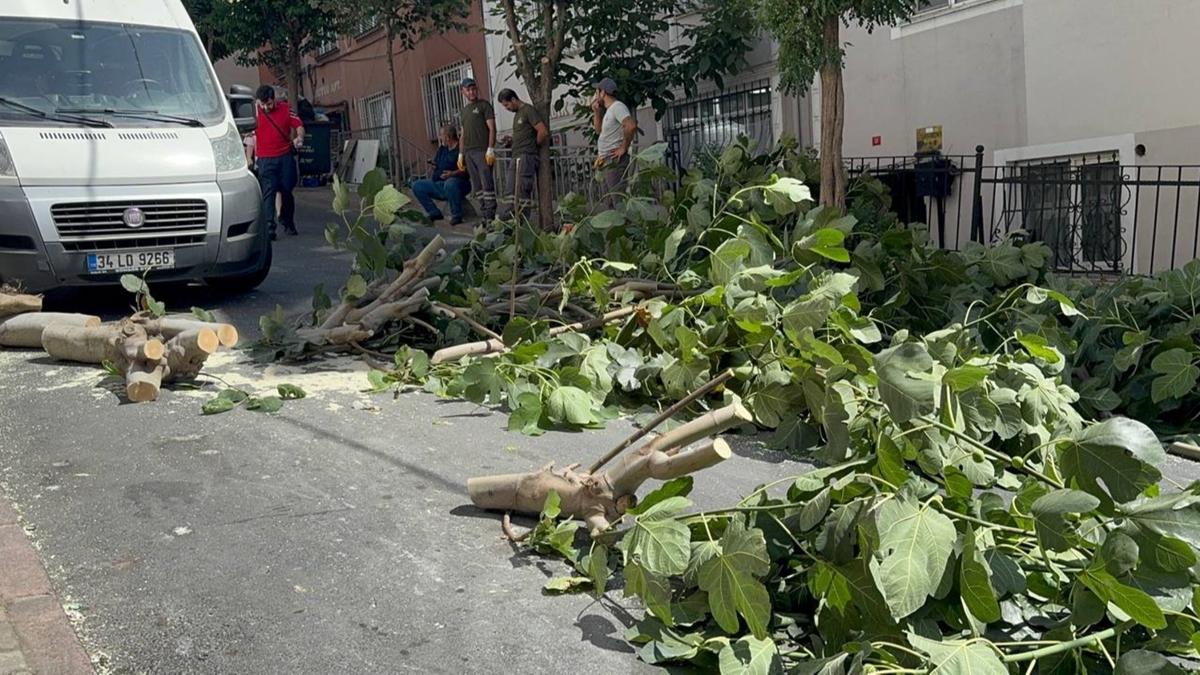 frtna stanbul devrilen aalar meteoroloji fotoraflar resimleri