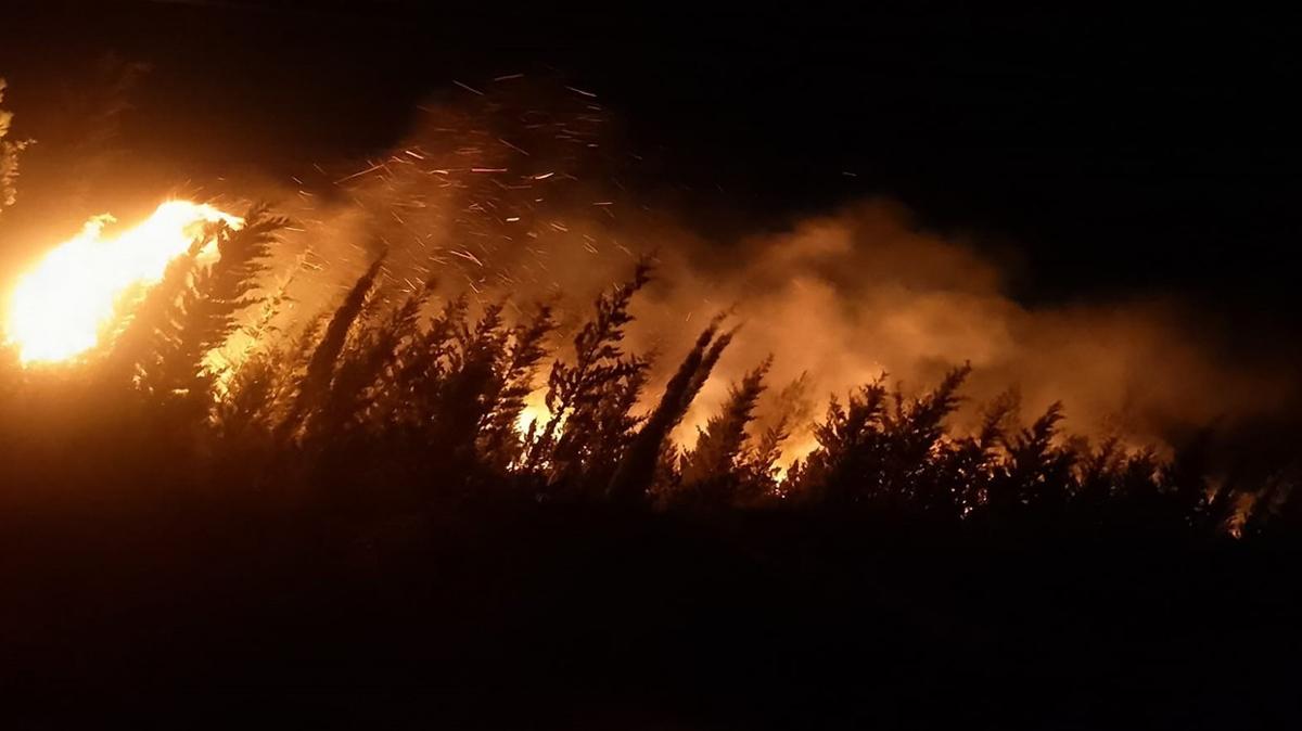orman yangn urla izmir fotoraflar resimleri