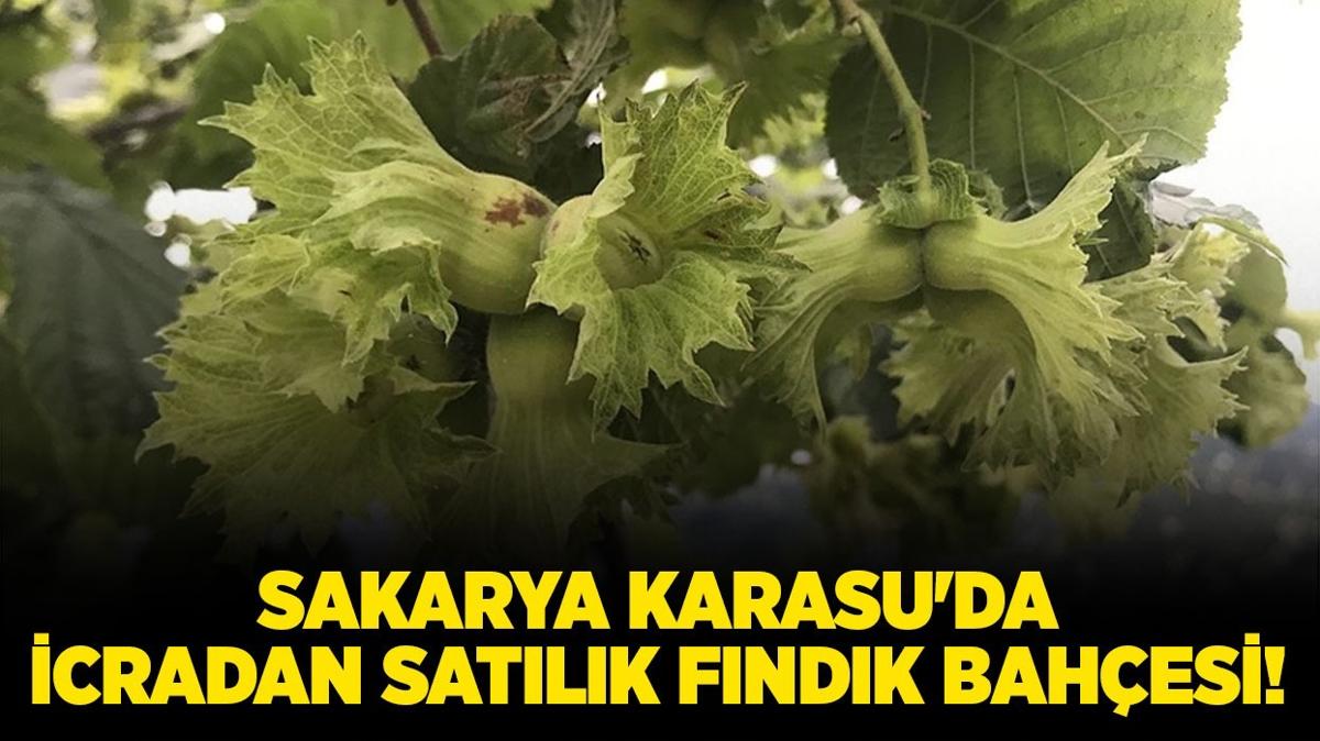 sakarya sakarya karasu fndk bahesi icradan satlk bahe icra ilanlar fotoraflar resimleri