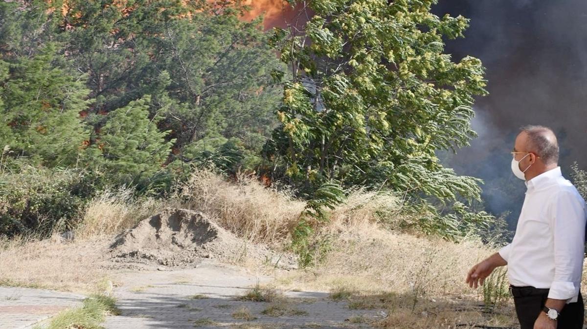 orman yangnlar siyaset anakkale yangn fotoraflar resimleri