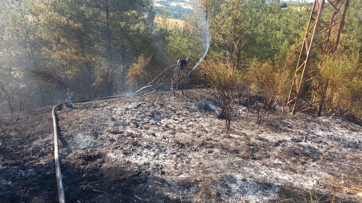orman yangn Gerze Sinop fotoraflar resimleri
