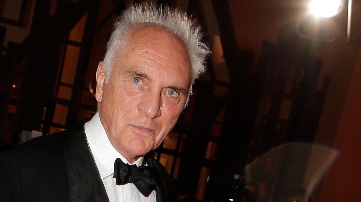 terence stamp terence stamp kimdir terence stamp filmleri magazin fotoraflar resimleri