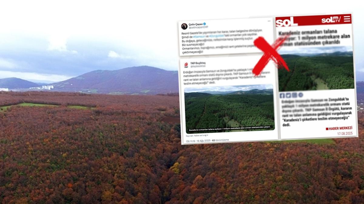 orman snrlar dezenformasyon mcadelesi gerekler fotoraflar resimleri