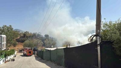 Bodrum'da zeytinlik ve otluk alanda kan yangn sndrld