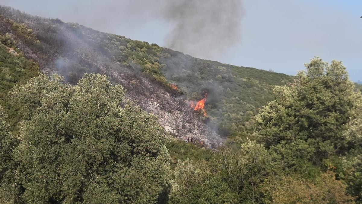 bursa yangn orman yangn fotoraflar resimleri