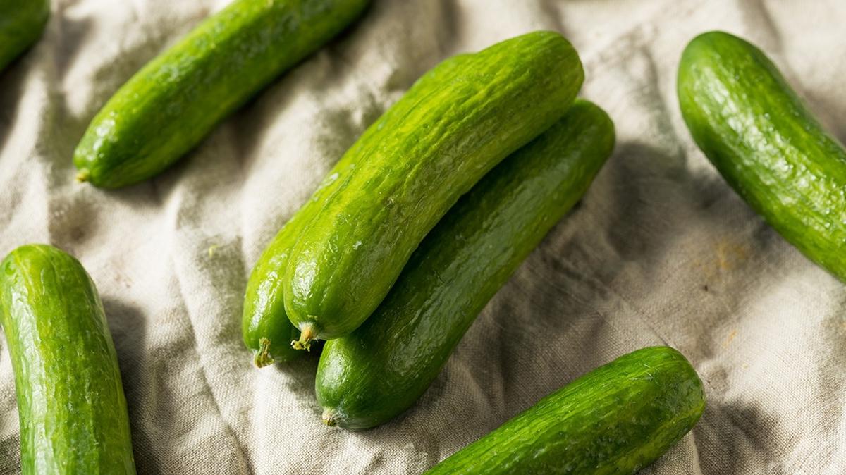 burumu salatalk salatalk burumu fotoraflar resimleri