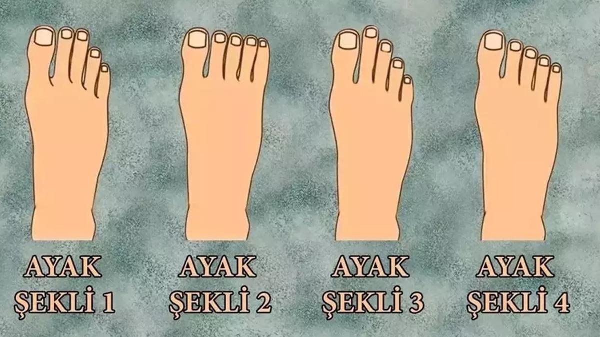 kiilik testi lider ayak fotoraflar resimleri