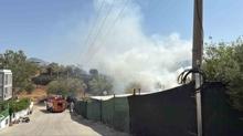 Bodrum'da zeytinlik ve otluk alanda kan yangn sndrld