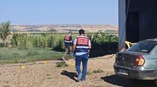 Diyarbakr'da arazi kavgasnda kan akt: l ve yarallar var