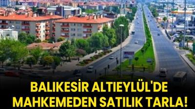 Balkesir Alteyll'de mahkemeden satlk tarla!