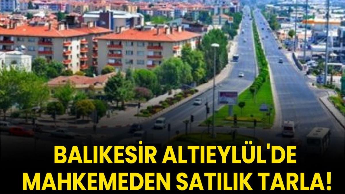 Balkesir tarla sat Alteyll mahkeme 9964 metrekare tarla fotoraflar resimleri