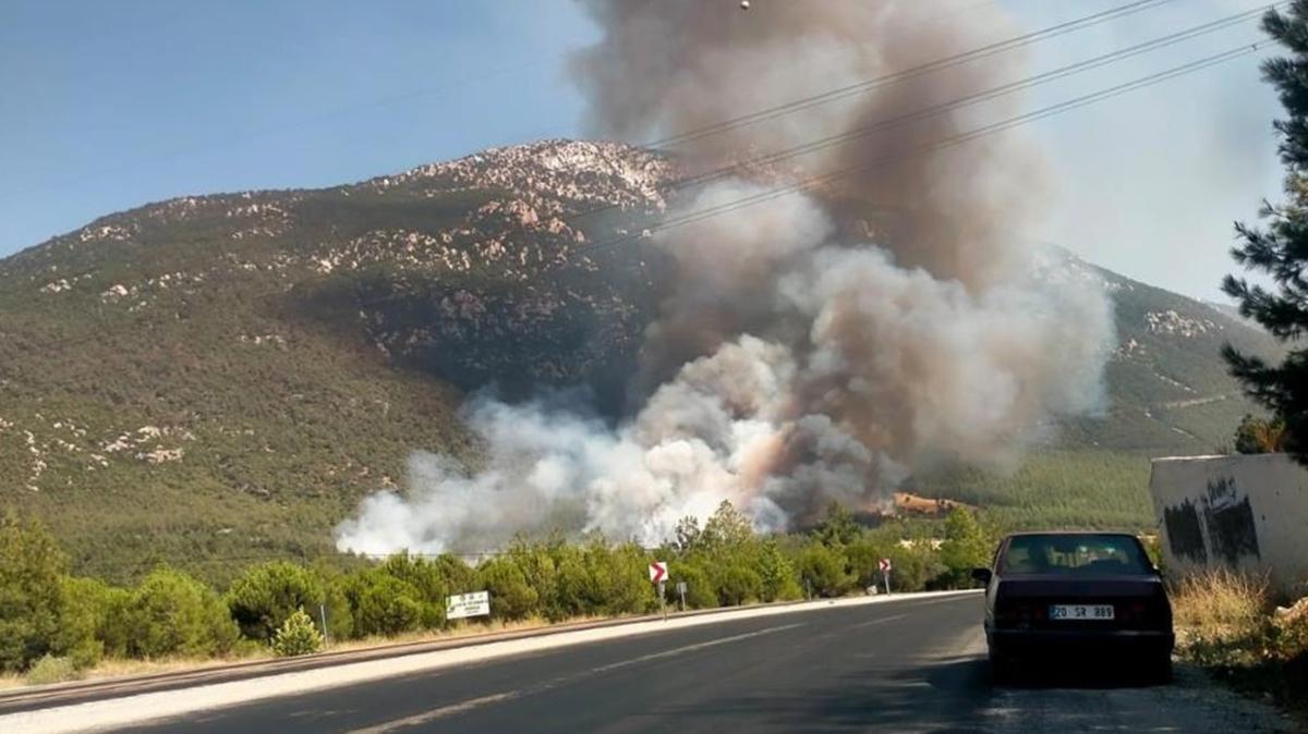 Denizli Pamukkale OrmanYangn fotoraflar resimleri