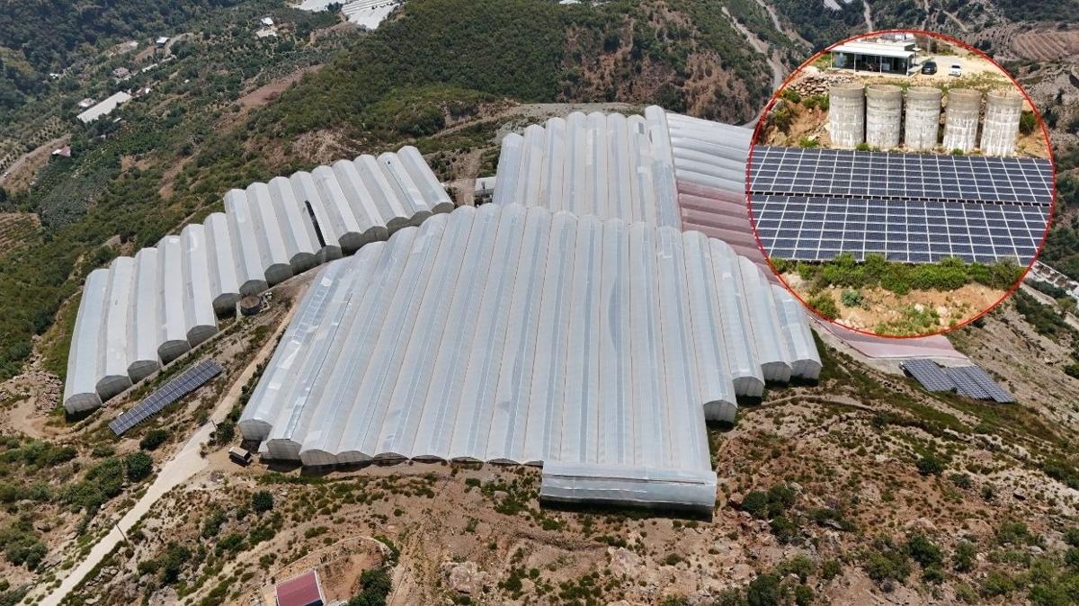 GES tarm ve orman bakanl destek tarm meyve bahesi enerji enerji maliyeti devlet destei yatrm destei fotoraflar resimleri
