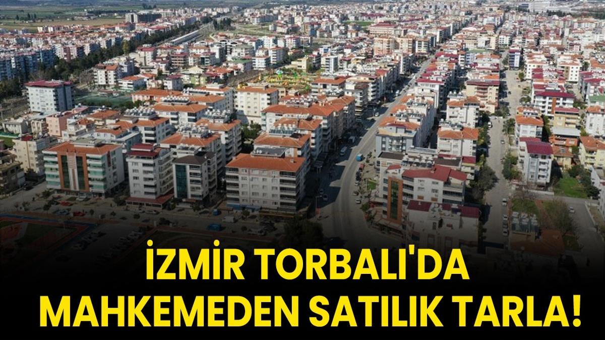 zmir Torbal 10.000 metrekare tarla sat fotoraflar resimleri