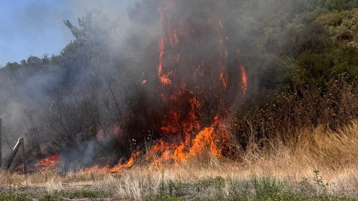 izmir orman yangn tutuklama fotoraflar resimleri
