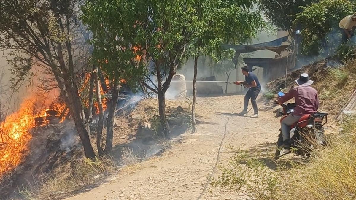 orman yangn doanyol malatya fotoraflar resimleri
