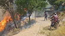 Malatya'da orman yangn! Sndrme almalar balad