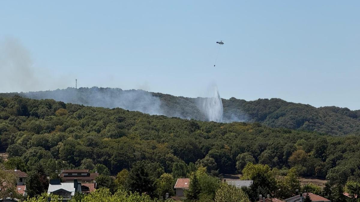 Saryer Zekeriyaky Orman fotoraflar resimleri