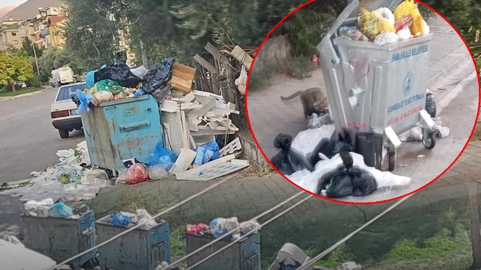 CHP çöp dağlarına mahkum etti! Kriz bir ilçeye daha sıçradı