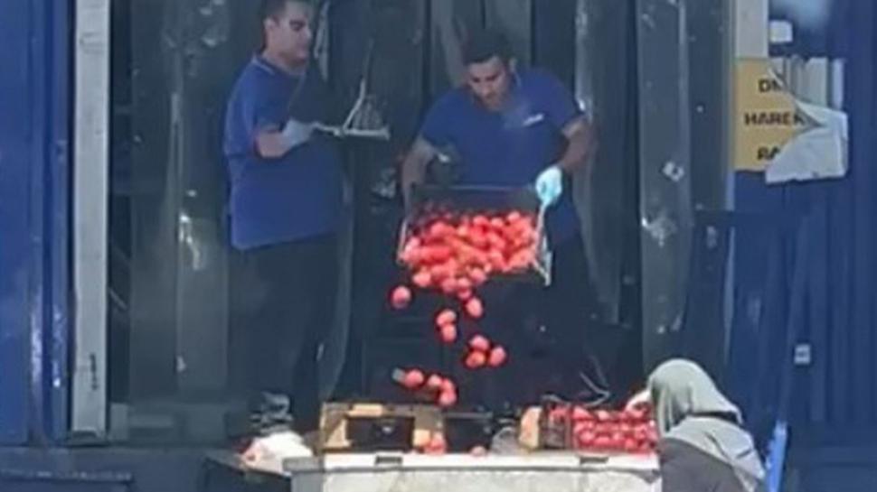 Çöpe dökülen domates görüntülerine inceleme: Bakanlık açıklamada bulundu