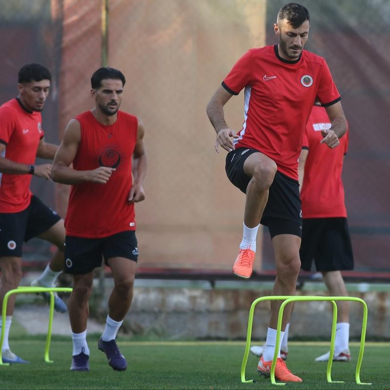Genlerbirlii, Fenerbahe mesaisinde