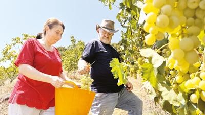 Emekli mhendisin hayali gerek oldu