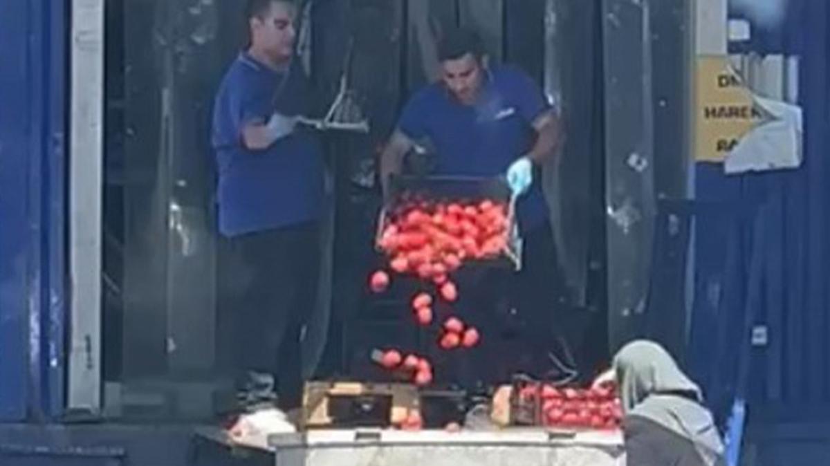 ticaret bakanl domates p fotoraflar resimleri