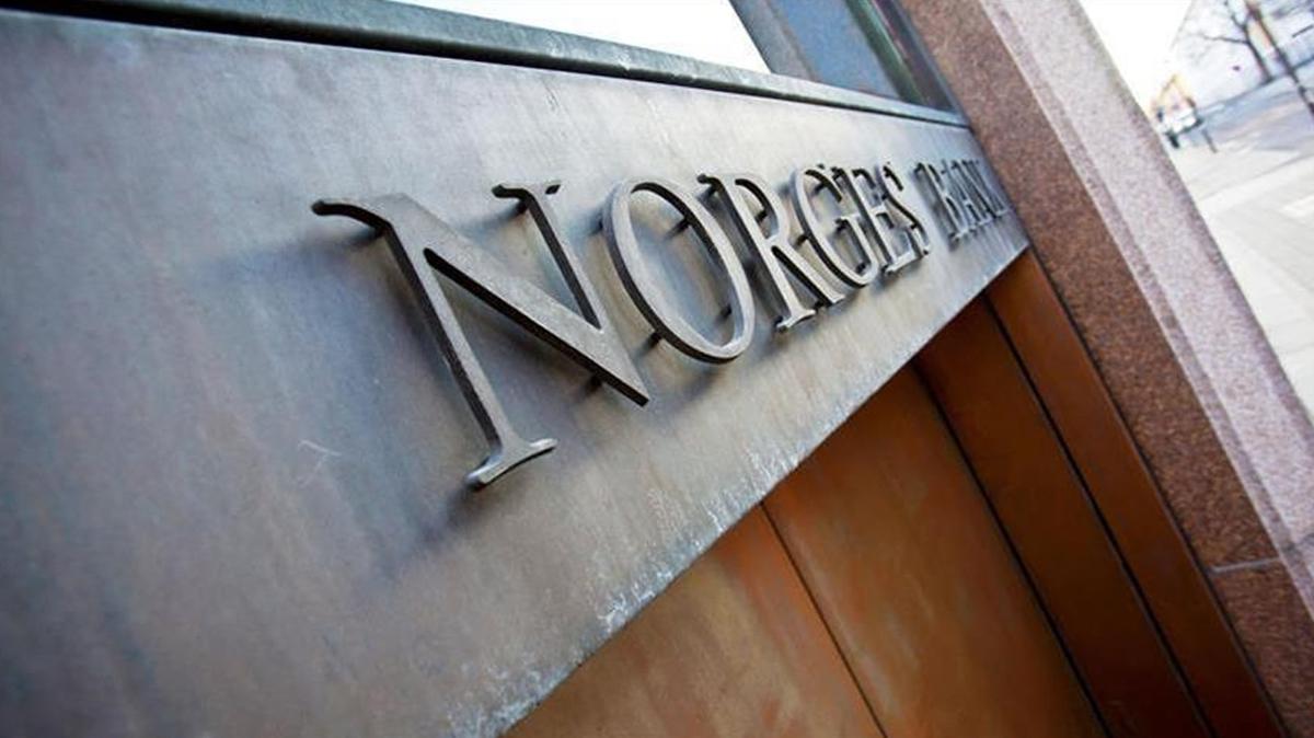 Norve fonu  insan haklar  yatrm sonlandrma fotoraflar resimleri