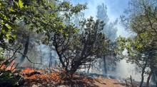Adana Feke'de orman yangn