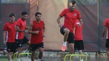 Genlerbirlii, Fenerbahe mesaisinde