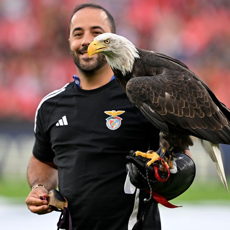 Benfica - Fenerbahe ma ncesinde kartal uuruldu