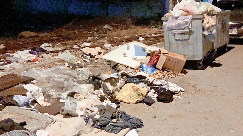 CHP'li Kartal'da çöp dağları