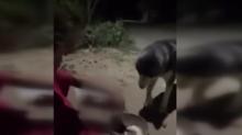 Pes dedirten olay! Kpee alkol iirdi, adli ilem balatld