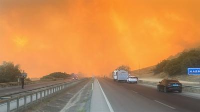 Bursa ve Hatay alarmda! Alevler ormanlk alanlar sard