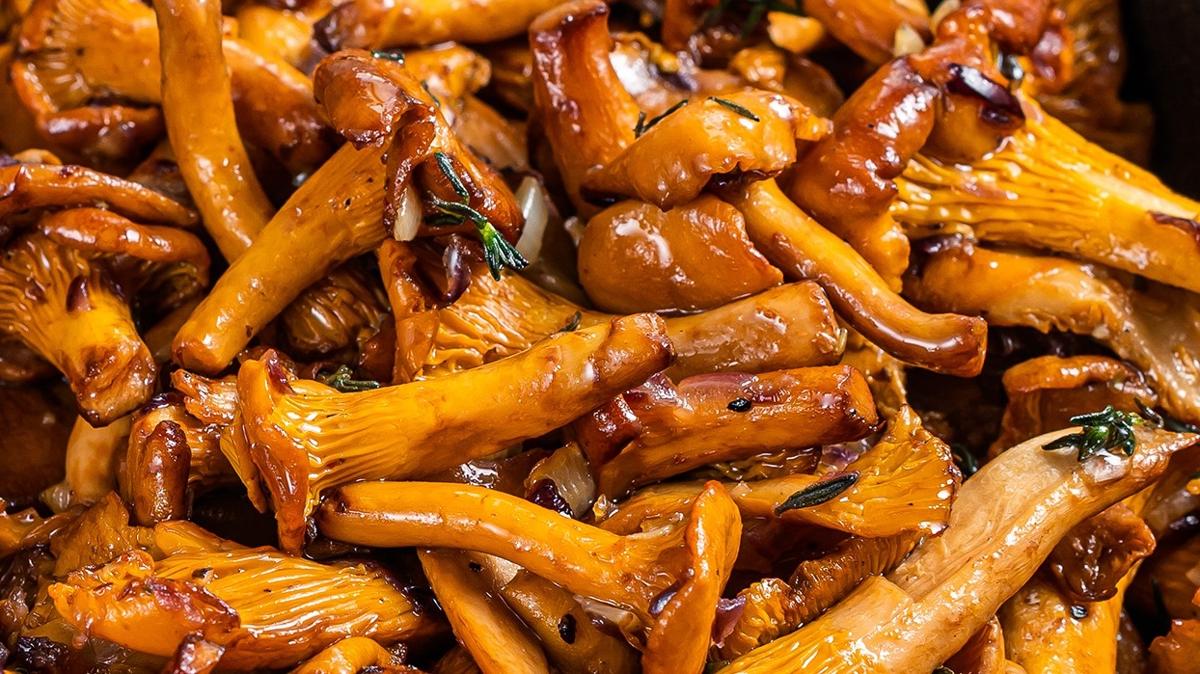 protein kalp sal et mantar fotoraflar resimleri