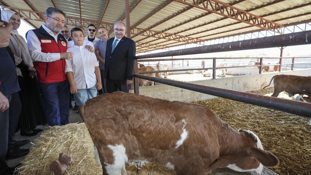 Tarm Bakan Hayvanclk Yerli retim bakan yumakl hayvanclk tarm ve orman bakanl fotoraflar resimleri
