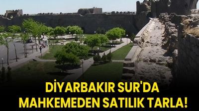 Diyarbakr Sur'da mahkemeden satlk tarla!
