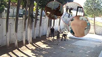 inin srtnda sopa krmadklar kalmt! CHP'li bakandan skandal hareket