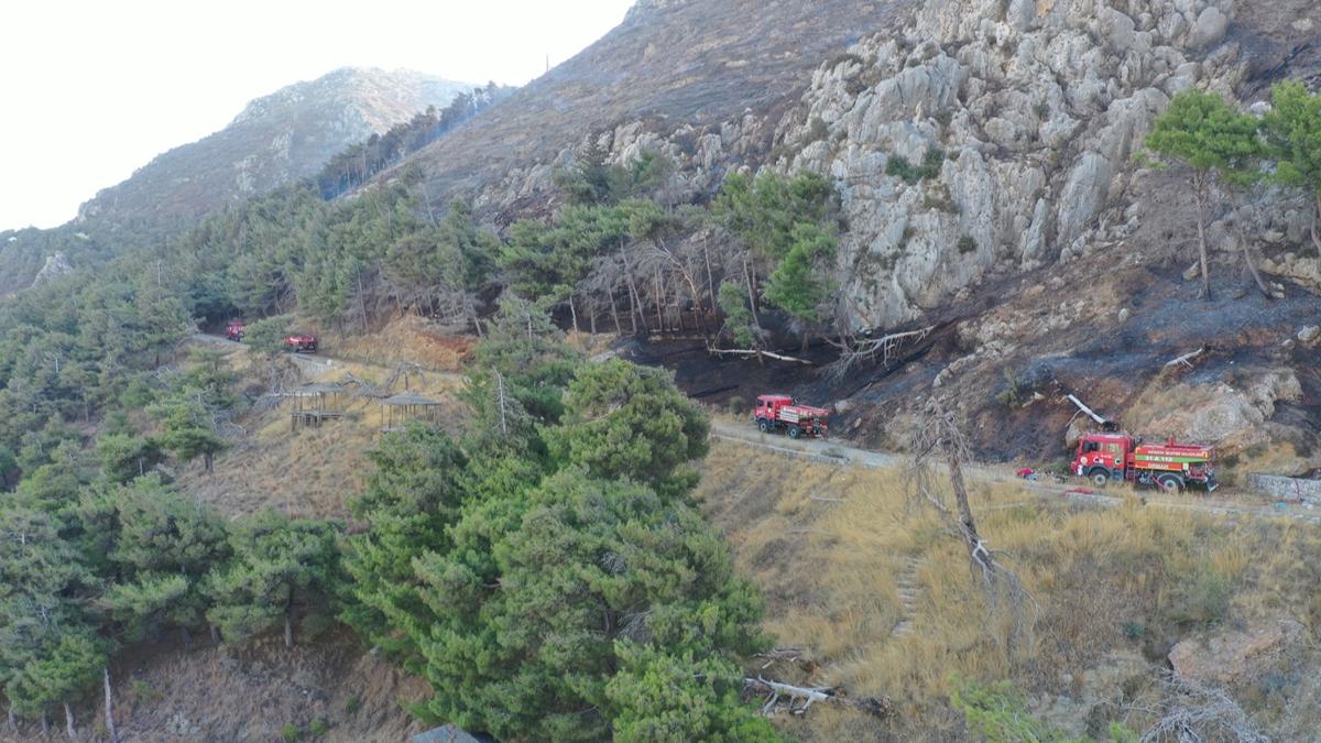 orman yangn kontrol Denizli Buldan Aydn Buharkent fotoraflar resimleri