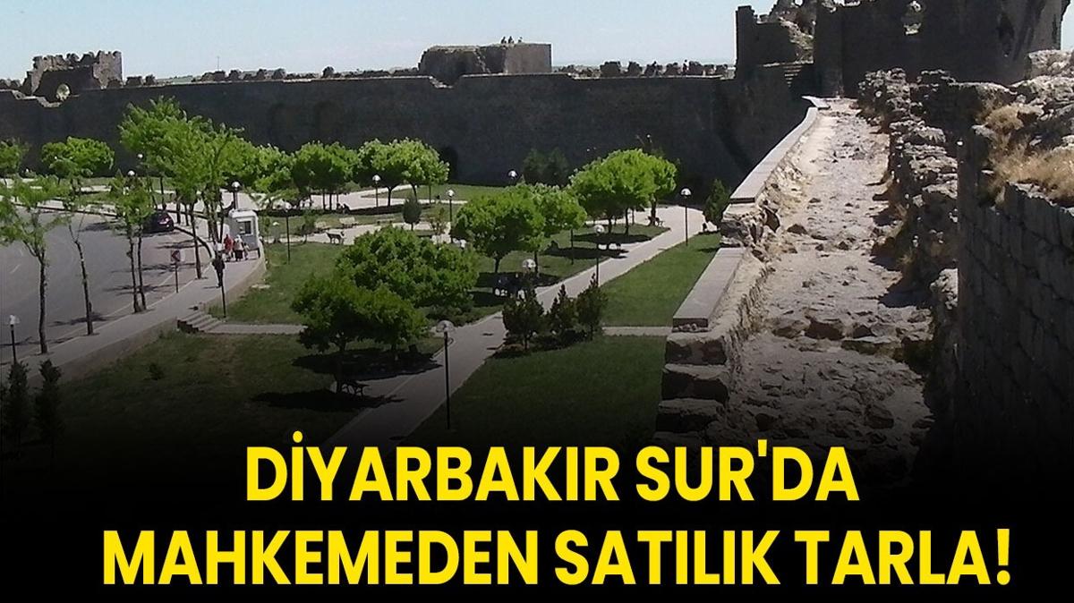 Diyarbakr tarla sat  Sur 30.58809 metrekare  mahkeme sat fotoraflar resimleri