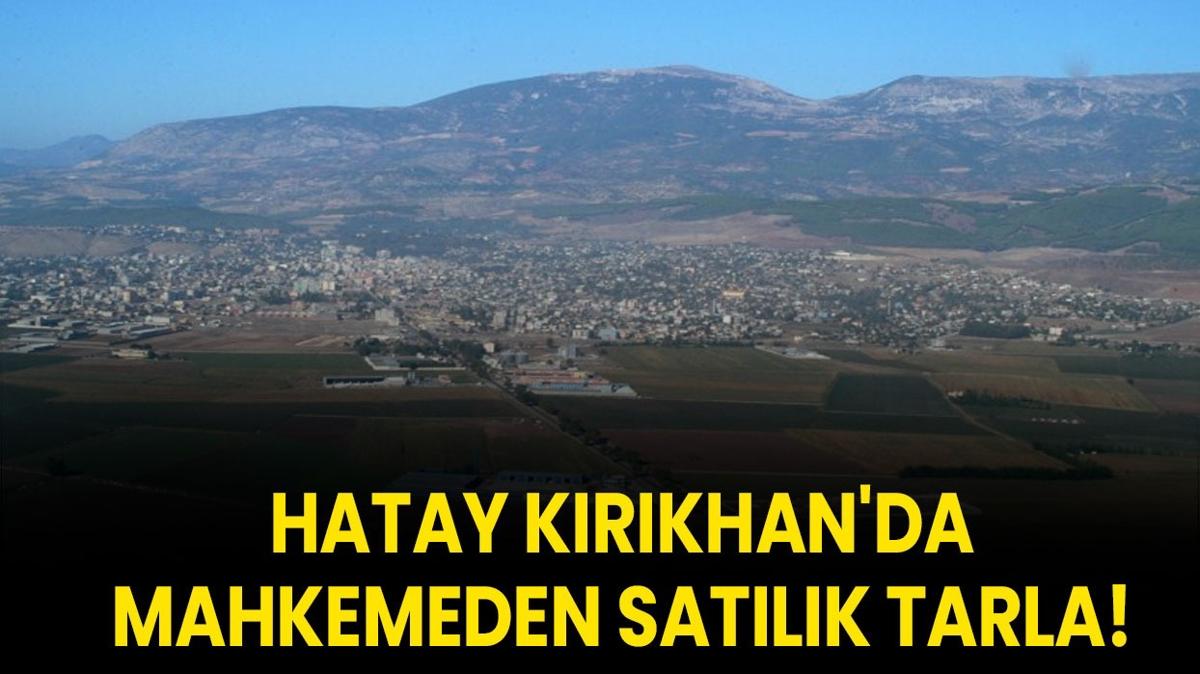 Hatay Krkhanda tarla sat mahkemeden sat fotoraflar resimleri