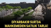 Diyarbakr Sur'da mahkemeden satlk tarla!