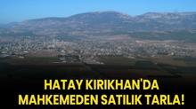 Hatay Krkhan'da mahkemeden satlk tarla!