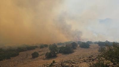 Balkesir Kepsut'ta orman yangn
