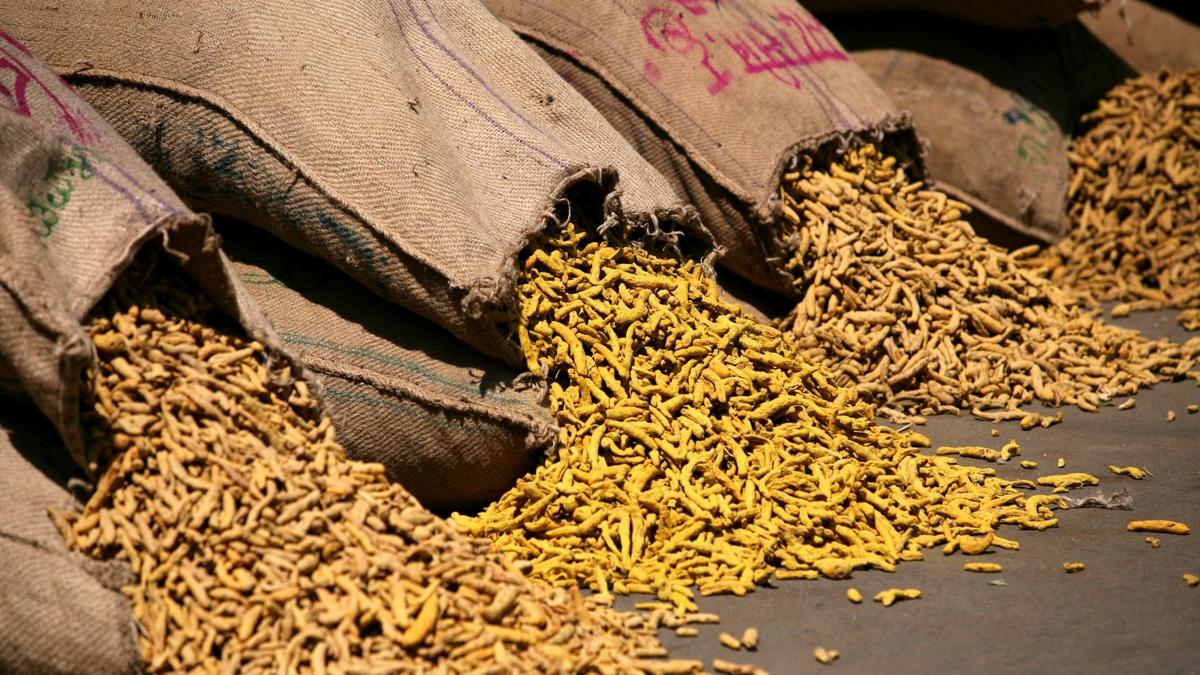 baharat bel salk fotoraflar resimleri