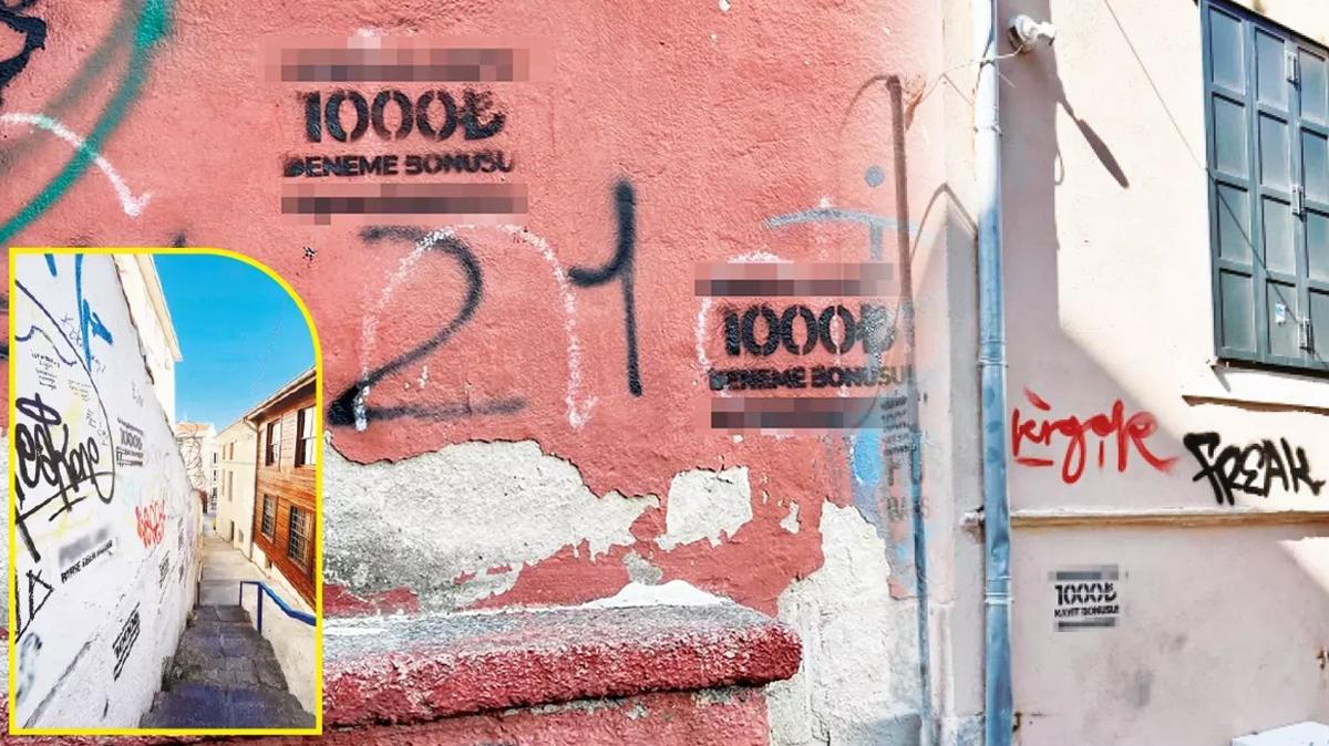 bahis kumar yasa d bahis fotoraflar resimleri
