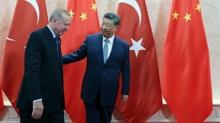 AnkaraPekin hattnda yeni dnem... in Lideri i: Trkiye, Kresel Gney'in nemli yesi
